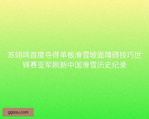 苏翊鸣首度夺得单板滑雪坡面障碍技巧世锦赛亚军刷新中国滑雪历史纪录
