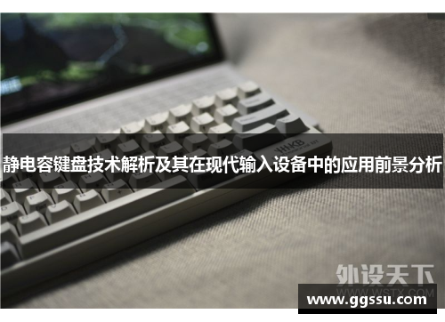 静电容键盘技术解析及其在现代输入设备中的应用前景分析