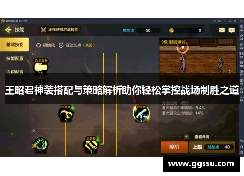 王昭君神装搭配与策略解析助你轻松掌控战场制胜之道